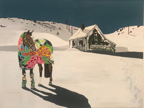 Sæterjord